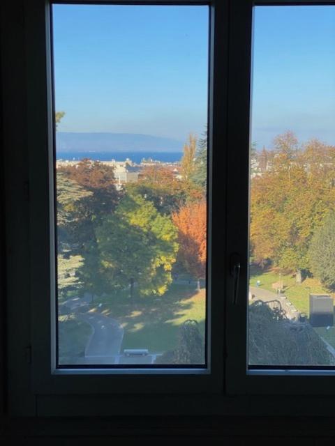 Geneve, Plein Centre,Belle Vue Lac, Splendide Et Grand Appartement Exteriör bild